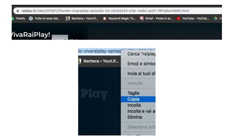 download-video-raiplay-url