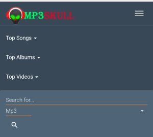 Read more about the article How to download free Music and Videos from MP3skull website with your windows, smartphones, and tablet devices in the year 2022