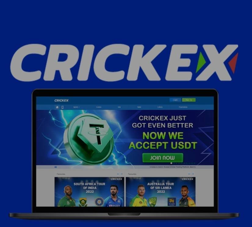 Crickex-sport-betting-review