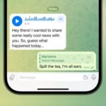 How to transcribe voice messages on Telegram, even for FREE